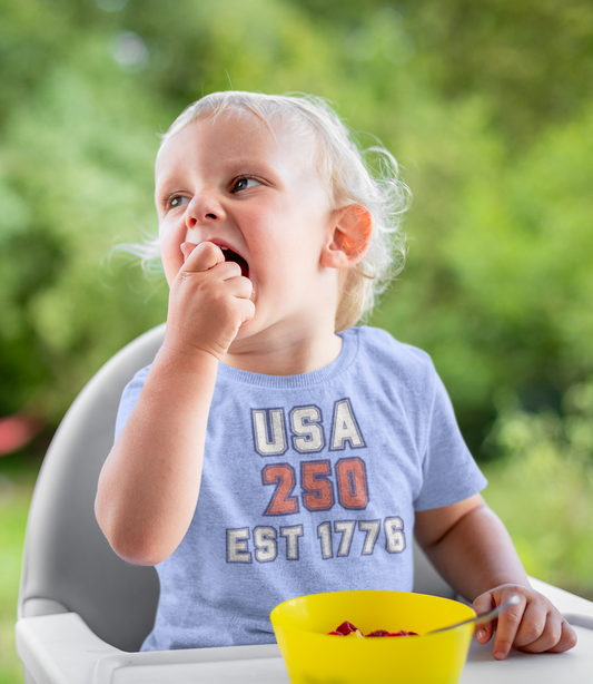 USA 250 - EST 1776 Toddler Tee